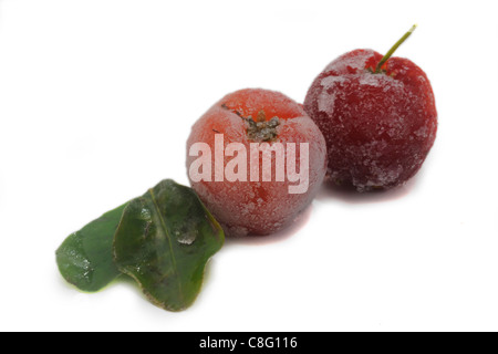 Gefrorene Acerola (Malpighia Glabra) oder Acerolla, Früchte und Blätter auf weißem Hintergrund Stockfoto