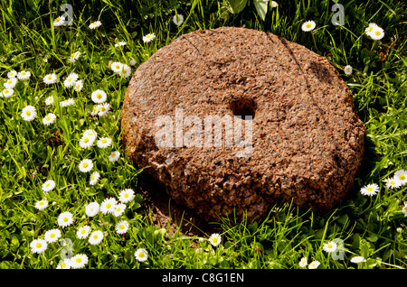 Klotz am Bein ruht in Blumenwiese. Altes Gerät zum Mahlen von Getreide. Stockfoto