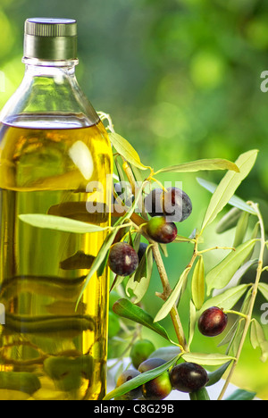 Flasche Olivenöl extra vergine Stockfoto