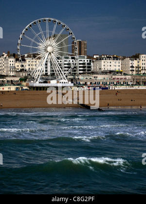 Brighton Wheel - Riesenrad (das Brighton Auge) am Strand Stockfoto