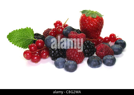 many different berries on a white background Stockfoto