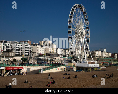 Brighton Wheel - Riesenrad (das Brighton Auge) am Strand Stockfoto