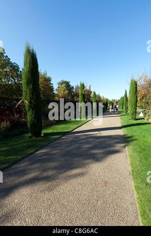 Pfad, gesäumt von Bäumen im Queen Mary Gärten, Regents Park, London, England, UK. Stockfoto