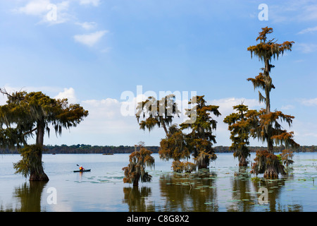 Kajak auf See Martin in Louisiana Bayoux in der Nähe von Breaux Bridge, Cajun Country, Louisiana, USA Stockfoto