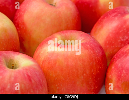 Pink Lady Äpfel Stockfoto