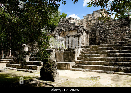 Maya-Ruinen, Calakmul, UNESCO-Weltkulturerbe, Calakmul Biosphären-Reservat, Campeche, Mexiko Stockfoto