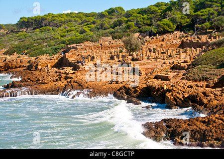 Römische Ruinen von Tipasa, UNESCO-Weltkulturerbe an der algerischen Küste, Algerien, Nordafrika Stockfoto