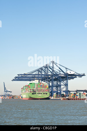 Ein Containerschiff angedockt an den Hafen von Felixstowe Stockfoto