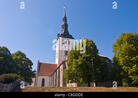 St. Nikolaus Kirche, Tallinn, Estland, Baltikum Stockfoto