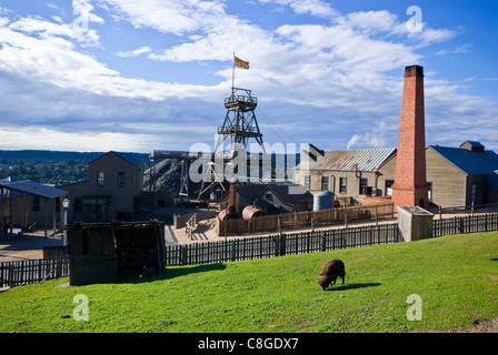 Ein einsamer Schaf weidet in einem Paddock mit Blick auf eine Goldgräberstadt. Stockfoto