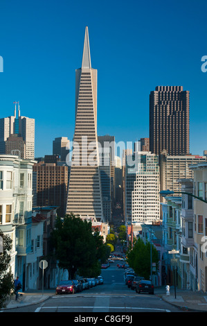 Innenstadt und TransAmerica Building von Telegraph Hill Historic District, San Francisco, California, Vereinigte Staaten von Amerika Stockfoto