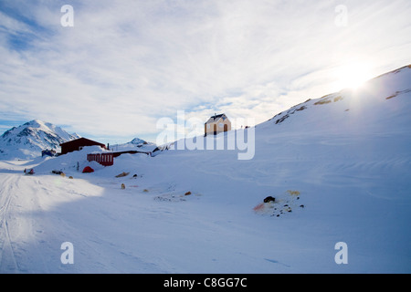 Dorf-Szene mit Hunde, Kulusuk, East Coast, Grönland, Polarregionen Stockfoto