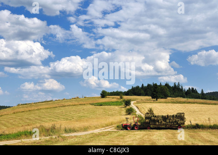 Ernte in Berg, Traktor auf Feld und bewölktem Himmel Stockfoto