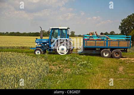 Traktor durchlaufen der Lincolnshire Wolds Stockfoto