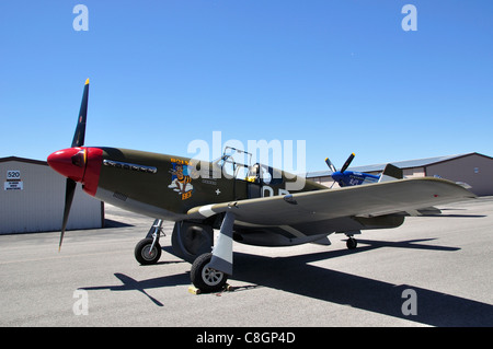 P51-D Mustang Kämpfer 'Boise Biene"auf ihr Debüt im Warhawk Aviation Museum Stockfoto