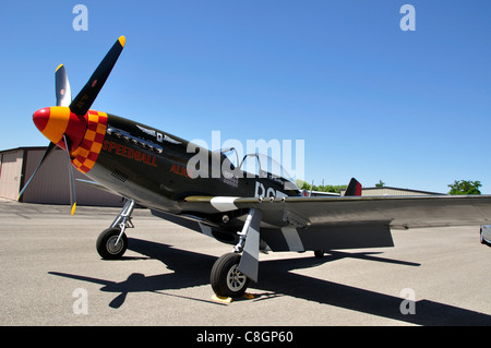 "Speedball Alice", P - 51D Mustang WW2 Kampfflugzeuge im Warhawk Aviation Museum Stockfoto