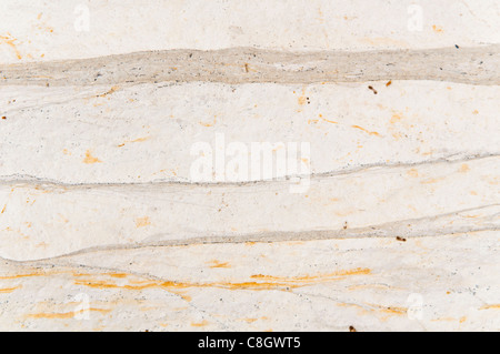 Gesteinsoberflächen an einem Strand in Devon Stockfoto