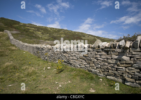 Trockenmauer auf der Isle of Purbeck Küsten Weg, Dorset, England, UK Stockfoto