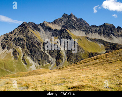 Almwiese im Frühherbst, in der Nähe von Courmayeur, Italien Stockfoto