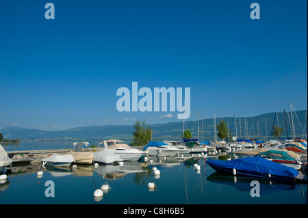 Schweiz, Europa, Waadt, Yvonand, Lac de Neuchâtel, Neuenburgersee, See, Kanton, Schiff, Panorama, Landschaft, Sommer, Hafen, po Stockfoto