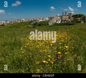 Portugal, Europa, Estremadura, Frühling, Blumen, Palast, Palacio Nacional, Mafra, Stockfoto