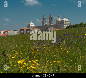 Portugal, Europa, Estremadura, Frühling, Blumen, Palast, Palacio Nacional, Mafra, Stockfoto