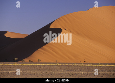 Düne, 45, Sesriem, Sossusvlei, Namib, Naukluft, Park, Namibia, Afrika Stockfoto