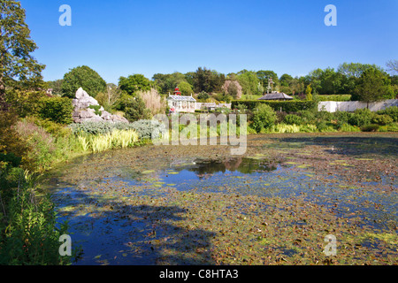 Großen Teich im RHS Harlow Carr Stockfoto