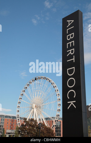 Der Echo Wheel of Liverpool (60m-Riesenrad) im Albert Dock, Liverpool, UK. Stockfoto