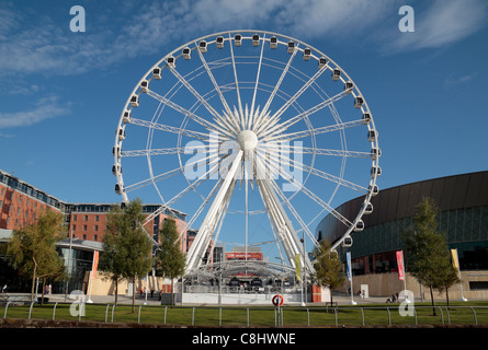 Der Echo Wheel of Liverpool (60m-Riesenrad) im Albert Dock, Liverpool, UK. Stockfoto