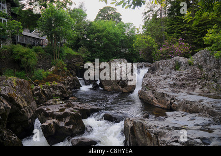 SWALLOW FALLS AM FLUSS CONWY IN BETWS Y COED IN NORDWALES Stockfoto