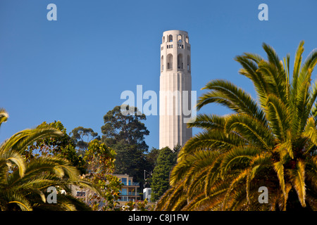 Coit Tower - eine Hommage an die Feuerwehrleute während der Erdbeben 1906 und das Feuer in San Francisco Kalifornien, USA Stockfoto