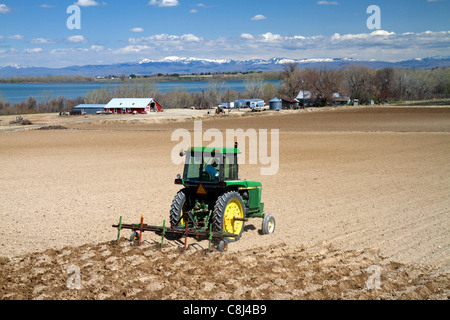 Traktor schneiden corrugates in Feld für die Bewässerung in der Nähe von Lake Lowell im Canyon County, Idaho, USA. Stockfoto