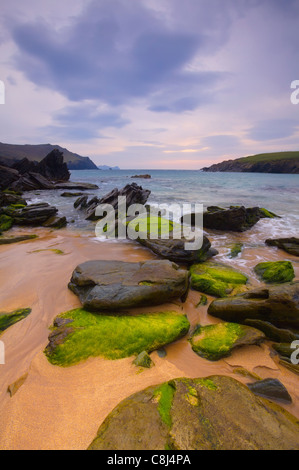 Abendlicht beleuchtet West Kerry Küstenabschnitten am Clogher Head, Co.Kerry, Irland Stockfoto