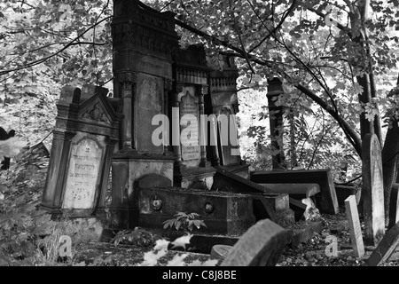 Alte jüdische Friedhof in Lodz, Polen. Alte Gräber mit jüdischen Inschriften im Schatten. Stockfoto