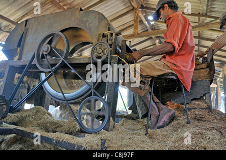 3. Welt, Arbeit, Job, Asien, Bevölkerung, Ceylon, lokale, Fabrik, Handwerk, Leistung, Kokos, Palm-Faser, Industrie, Produktion, co Stockfoto