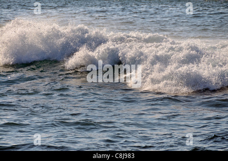 Asien, Surf, Schutzschalter, Steinbrucharbeiter, Ceylon, Meer, Ozean, Südasien, Unawatuna, Wasser, Welle, Welle Stockfoto