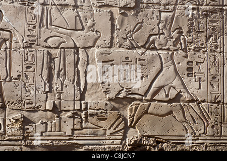 Das Hilfsprogramm zeigt König Seti und Rennen der Apis-Stier am Karnak-Tempel, Luxor, Ägypten Stockfoto