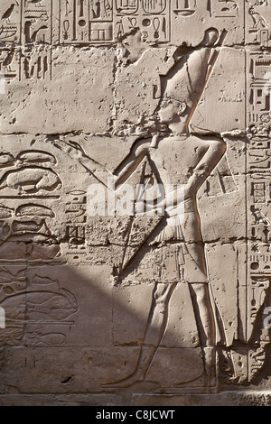 Relief Arbeit zeigt König mit gaben an die Götter in der Säulenhalle am Karnak-Tempel, Luxor, Ägypten Stockfoto