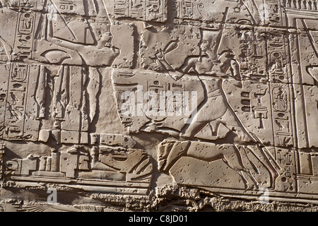 Das Hilfsprogramm zeigt König Seti und Rennen der Apis-Stier am Karnak-Tempel, Luxor, Ägypten Stockfoto