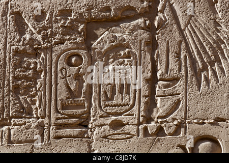 Relief Arbeiten zeigen Kartuschen von Seti I, Menmaatre am Karnak-Tempel, Luxor, Ägypten Stockfoto