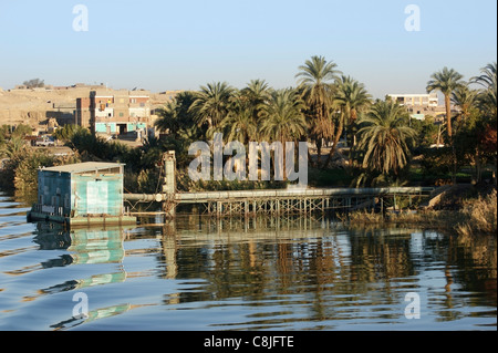 am Wasser Landschaft am Nil in Ägypten (Afrika) Stockfoto