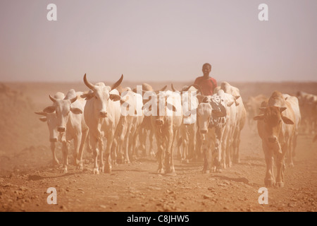 Rinder Herder im Norden Kenias auf der Straße zwischen Isiolo und Marsabit Stockfoto