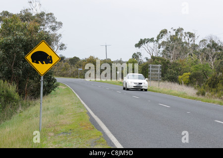 Wombat Straßenschild fotografiert in Süd-Australien