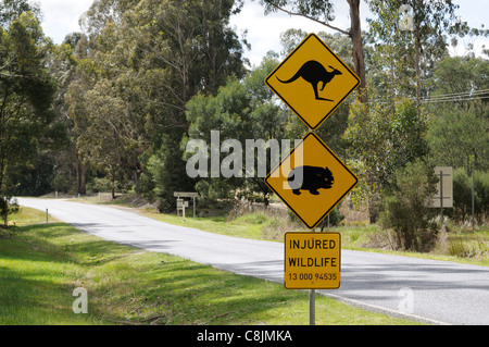 Känguru und Wombat Straßenschild fotografiert in Victoria, Australien
