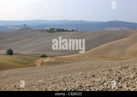 die typische Landschaft der Toskana in Val d ' Orcia Stockfoto