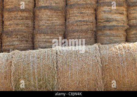mehrere Ballen Stroh gestapelt und platziert Stockfoto