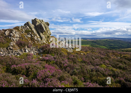 Sommersonne auf Stiperstones, Shropshire, England, Großbritannien, Vereinigtes Königreich, GB, Großbritannien, britische Inseln, Europa Stockfoto