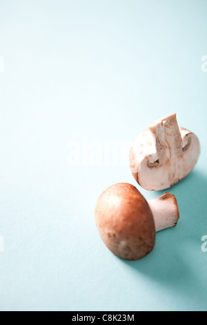 Single-Pilz, halbieren auf blassen blauen Hintergrund Stockfoto