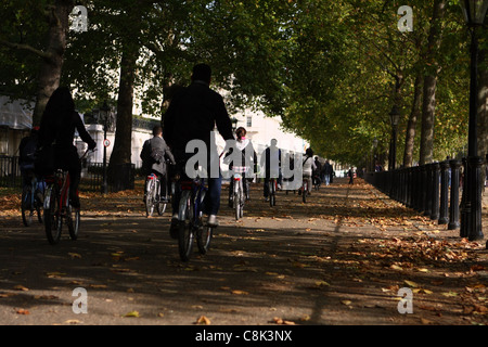 Blick entlang eines Weges von der Seite von The Mall in London Stockfoto